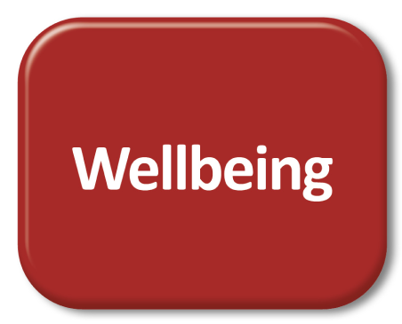 Foundations for Wellbeing and Active Aging